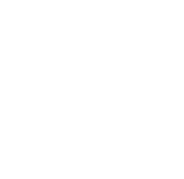 stat icon1
