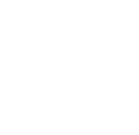 stat icon4